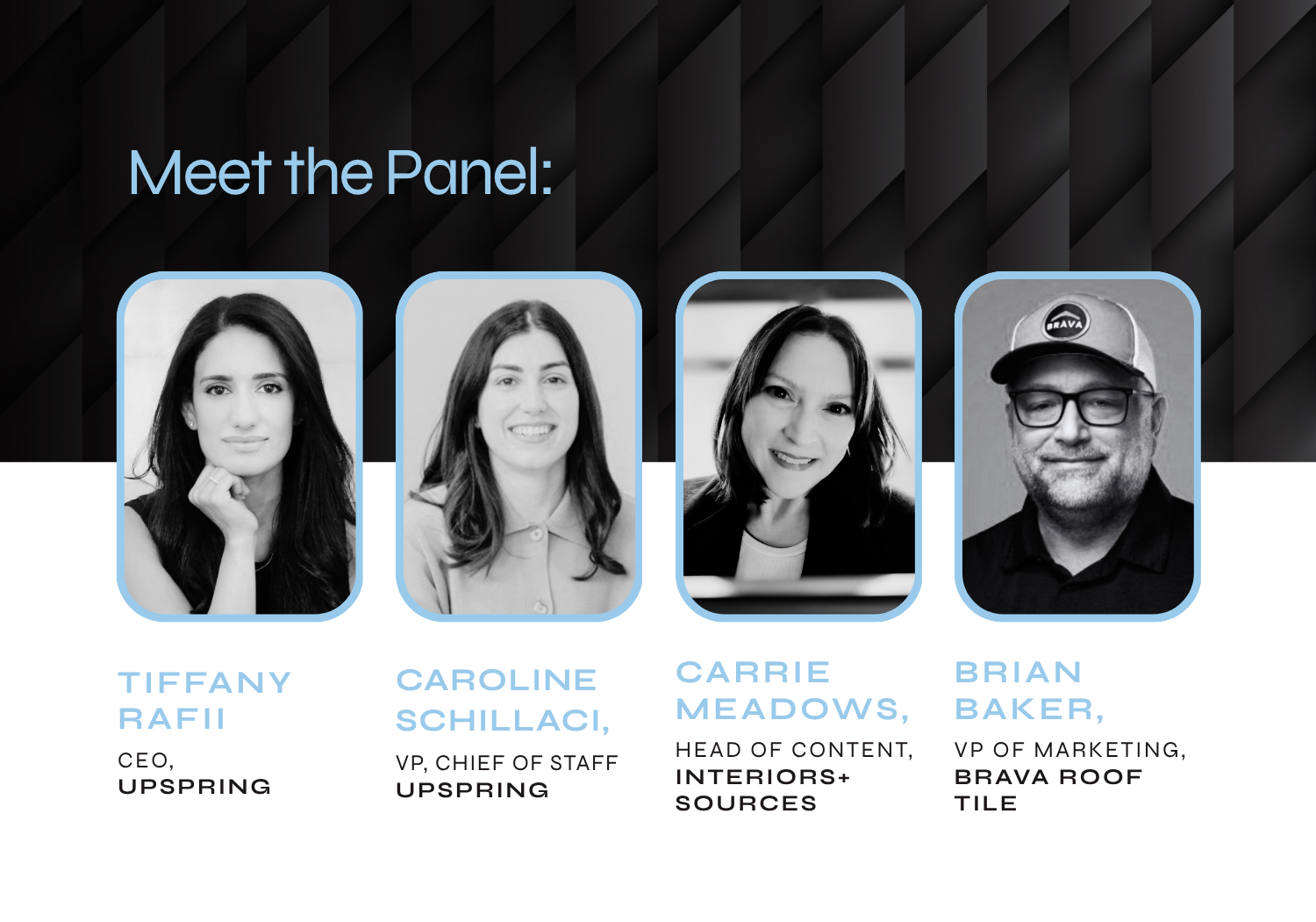 Meet the Panel